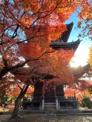 真正極楽寺（真如堂）(京都府)