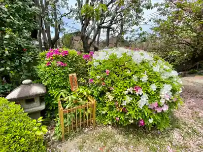 長建寺(京都府)