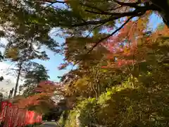 普門寺(切り絵御朱印発祥の寺)の自然