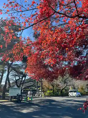 高麗神社(埼玉県)