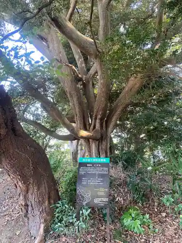 植田八幡神社(福島県)