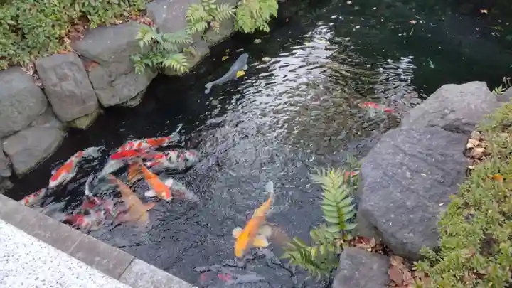 浅草寺(東京都)