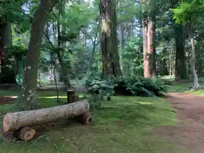 飯高寺(千葉県)