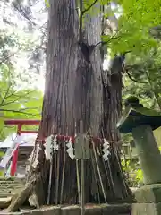 磐椅神社(福島県)