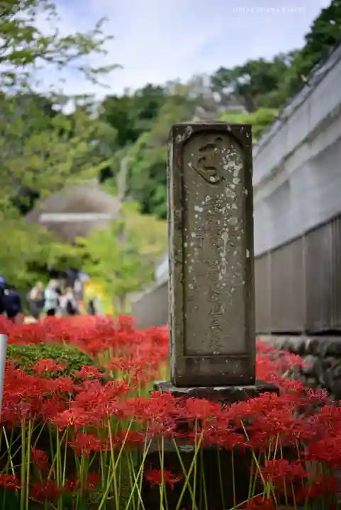 横浜 西方寺(神奈川県)