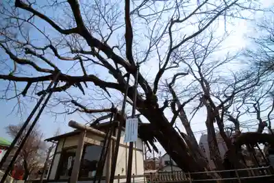 豊受神社(千葉県)