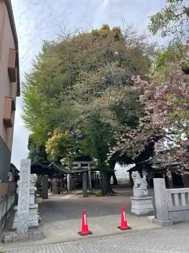 諏訪大神社 の{uncategorized: "未分類", other: "その他", undefined: "問題あり", building: "その他建物", grave: "お墓", sacred_gate: "鳥居", guardian: "狛犬", statue: "像", buddha: "仏像", history: "歴史", nature: "自然", garden: "庭園", animal: "動物", pagoda: "塔", temizu: "手水舎", mountain_gate: "山門・神門", sanctuary: "本殿・本堂", subordinate: "末社・摂社", art: "芸術", scenery: "景色", jizo: "地蔵", ema: "絵馬", goshuin: "御朱印", omikuji: "おみくじ", items: "授与品その他", amulet: "お守り", goshuincho: "御朱印帳", eats: "食事", festival: "お祭り", votive_dance: "神楽", shichigosan: "七五三参", wedding: "結婚式", experience: "体験その他", initially: "初詣", around: "周辺", anti_infection: "感染症対策"}