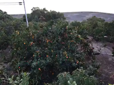 河内阿蘇神社(熊本県)