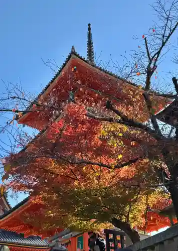清水寺の{uncategorized: "未分類", other: "その他", undefined: "問題あり", building: "その他建物", grave: "お墓", sacred_gate: "鳥居", guardian: "狛犬", statue: "像", buddha: "仏像", history: "歴史", nature: "自然", garden: "庭園", animal: "動物", pagoda: "塔", temizu: "手水舎", mountain_gate: "山門・神門", sanctuary: "本殿・本堂", subordinate: "末社・摂社", art: "芸術", scenery: "景色", jizo: "地蔵", ema: "絵馬", goshuin: "御朱印", omikuji: "おみくじ", items: "授与品その他", amulet: "お守り", goshuincho: "御朱印帳", eats: "食事", festival: "お祭り", votive_dance: "神楽", shichigosan: "七五三参", wedding: "結婚式", experience: "体験その他", initially: "初詣", around: "周辺", anti_infection: "感染症対策"}