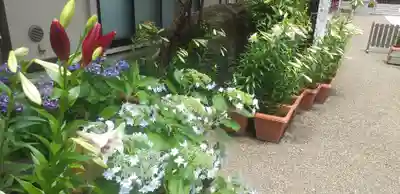 前川神社の自然