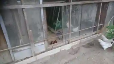 立坂神社の本殿・本堂