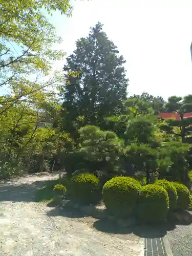 木華佐久耶比咩神社の庭園