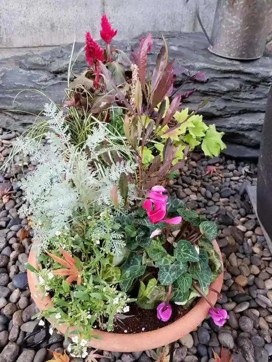 飯倉熊野神社(東京都)