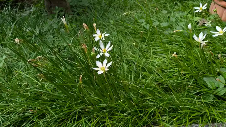 蓮光寺(京都府)