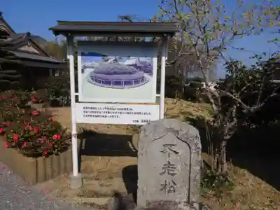 曼荼羅寺(香川県)