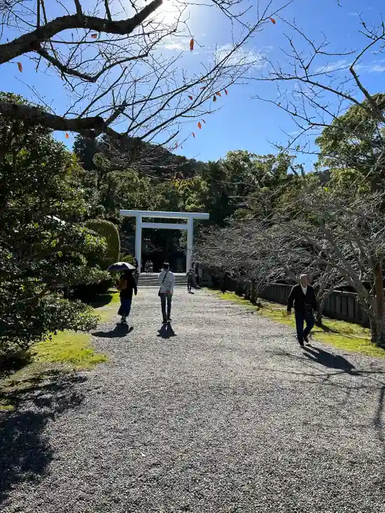 安房神社(千葉県)
