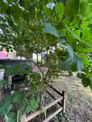 千鹿頭神社(長野県)