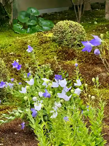 天得院(京都府)
