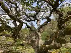 慈照寺（慈照禅寺・銀閣寺）(京都府)