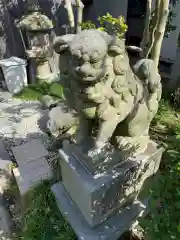 晴明神社の狛犬