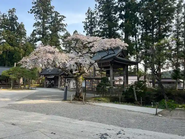 中尊寺(岩手県)