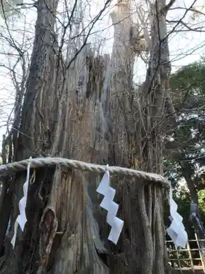 大國魂神社(東京都)