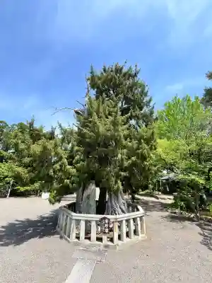 道成寺(和歌山県)