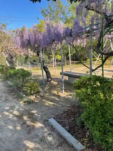 貴船神社の自然