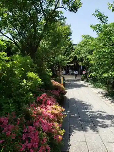 鳩森八幡神社の庭園