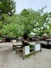 射水神社(富山県)