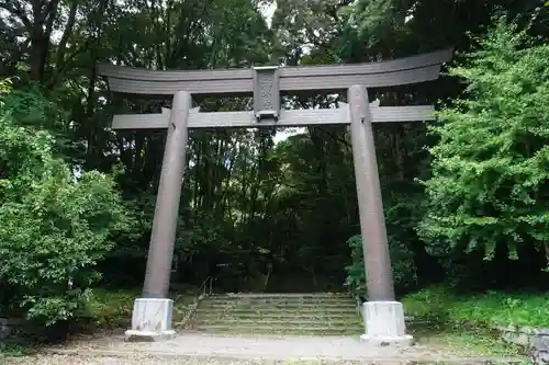 槵觸神社の鳥居