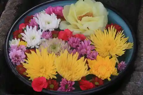 大鏑神社の手水舎