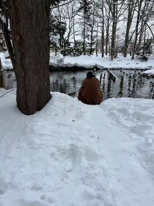 永山神社の庭園