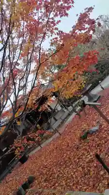 勝林寺(京都府)