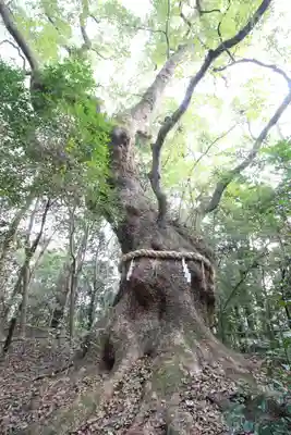 熱田神宮(愛知県)
