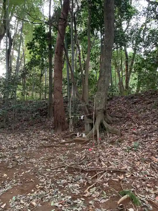 天満天神宮(千葉県)