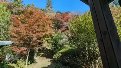 金蔵寺(京都府)