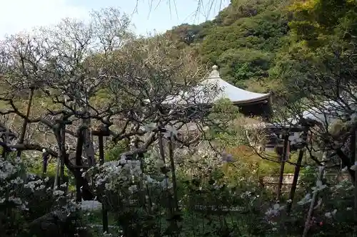 瑞泉寺の庭園