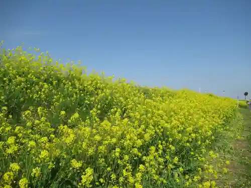 真光寺(千葉県)