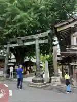 湯島天満宮(東京都)