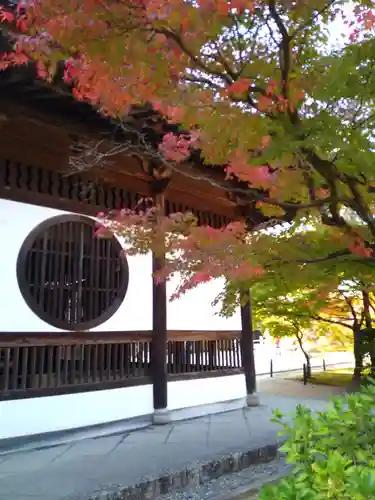 井山 宝福寺の本殿