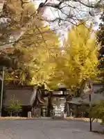 諏訪大社上社前宮(長野県)