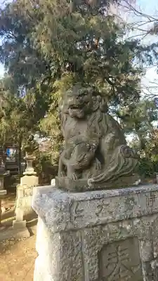 日枝神社の狛犬