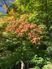 木舟山　順教寺(広島県)