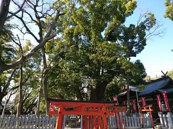 信太森神社(葛葉稲荷神社)のその他建物