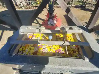 久伊豆神社大雷神社合殿の手水舎