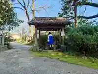 秦神社の手水舎