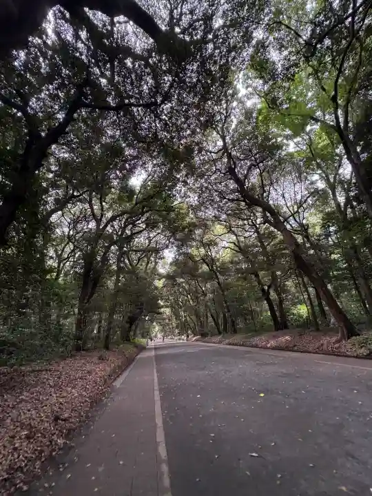 明治神宮(東京都)