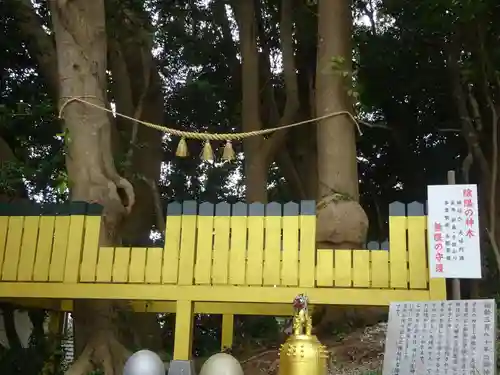 ほしいも神社の自然