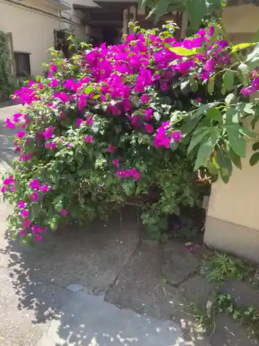 専福寺(東京都)